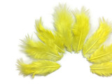 1 Dozen - Solid Sunshine Yellow Mini Rooster Chickabou Fluff Whiting Hair Feathers