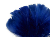 1 Pack - 2-3" Royal Blue Goose Coquille Loose Feathers - 0.35 Oz.