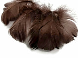 1 Pack - 2-3" Brown Goose Coquille Loose Feathers - 0.35 Oz.