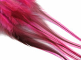 6 Pieces - Hot Pink Badger Thick Long Rooster Hair Extension Feathers