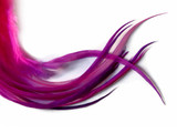 1 Dozen - Medium Raspberry Blendz Rooster Saddle Whiting Hair Extension Feathers