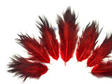 1 Dozen - Solid Red & Black Mini Rooster Chickabou Fluff Whiting Hair Feathers