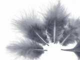 1 Pack - Silver Gray Turkey Marabou Short Down Fluff Loose Feathers 0.10 Oz.