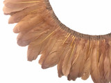 1 Yard - Light Brown Goose Pallet Parried Dyed Feather Trim