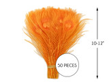 50 Pieces – Orange Bleached & Dyed Peacock Tail Eye Wholesale Feathers (Bulk) 10-12” Long 