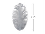 10 Pieces - 8-10" Silver Gray Ostrich Dyed Drabs Feathers