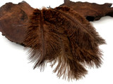 10 Pieces - 6-8" Brown Ostrich Dyed Drabs Body Feathers