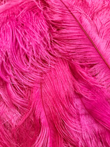 10 Pieces - 17-19" Hot Pink Large Bleached & Dyed Ostrich Drabs Body Feathers