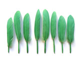 1 Pack - Aqua Green Dyed Duck Cochettes Loose Wing Quill Feather 0.30 Oz.