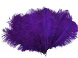 10 Pieces - 6-8" Purple Ostrich Dyed Drabs Feathers