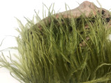 1 Yard - Olive Green Ostrich Fringe Trim Wholesale Feather (Bulk)