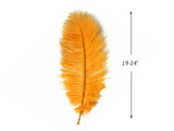 1/2 Lb. - 19-24" Golden Yellow Ostrich Extra Long Drab Wholesale Feathers (Bulk)
