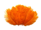 1/2 Lb - 19-24" Orange Ostrich Extra Long Drab Wholesale Feathers (Bulk)