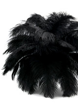 1/2 Lb - 17-19" Black Ostrich Large Drab Wholesale Feathers (Bulk)