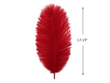 1/2 Lb - 17-19" Red Ostrich Large Drab Wholesale Feathers (Bulk)