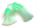 1 Pack - Aqua Green Dyed Turkey T-Base triangle Body Plumage Feathers 0.50 Oz.