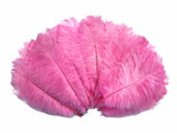 1/2 lb. - 14-17" Pink Ostrich Large Body Drab Wholesale Feathers (Bulk)