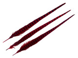 50 Pieces - 18-22" Red Wine Dyed Over Natural Long Ringneck Pheasant Tail Wholesale Feathers (Bulk)