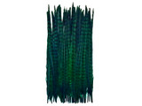 50 Pieces - 18-22" Peacock Green Dyed Over Natural Long Ringneck Pheasant Tail Wholesale Feathers (Bulk)