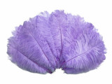 1/2 lb. - 14-17" Lavender Ostrich Large Body Drab Wholesale Feathers (Bulk)