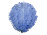 1/2 lb. - 14-17" Light Blue Ostrich Large Body Drab Wholesale Feathers (Bulk)