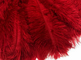1/2 lb. - 14-17" Red Ostrich Large Body Drab Wholesale Feathers (Bulk)
