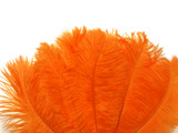 1/2 lb. - 14-17" Orange Ostrich Large Body Drab Wholesale Feathers (Bulk)