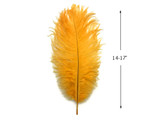 1/2 lb. - 14-17" Golden Yellow Ostrich Large Body Drab Wholesale Feathers (Bulk)