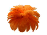 1/2 Lb. - 9-13" Orange Dyed Ostrich Body Drab Wholesale Feathers (Bulk)
