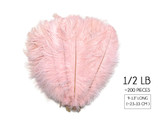 1/2 Lb. - 9-13" Baby Pink Dyed Ostrich Body Drab Wholesale Feathers (Bulk)