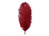 1/2 Lb. - 9-13" Burgundy Dyed Ostrich Body Drab Wholesale Feathers (Bulk)
