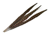 10 Pieces - 18-20" Natural Long Ringneck Pheasant Tail Feathers