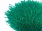 1 Yard - Ocean Green Ostrich Fringe Trim Wholesale Feather (Bulk)