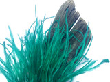 1 Yard - Ocean Green Ostrich Fringe Trim Wholesale Feather (Bulk)