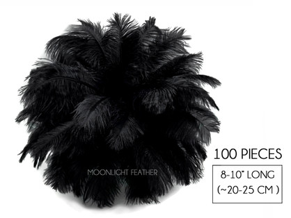 100 Pieces - 8-10" Black Ostrich Dyed Drab Body Wholesale Feathers (Bulk)