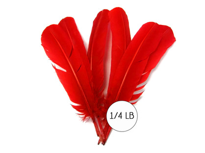 1/4 Lb - Red Turkey Tom Rounds Secondary Wing Quill Wholesale Feathers (Bulk)