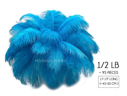 1/2 Lb - 17-19" Turquoise Ostrich Large Drab Wholesale Feathers (Bulk)