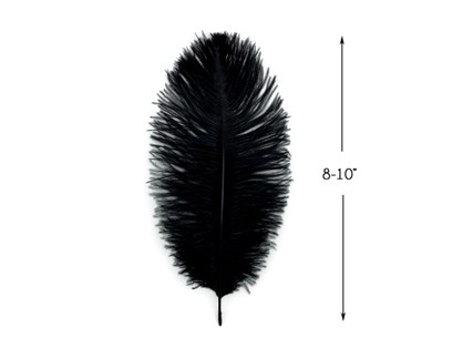 10 Pieces - 12-16 Black Dyed Ostrich Tail Fancy Feathers