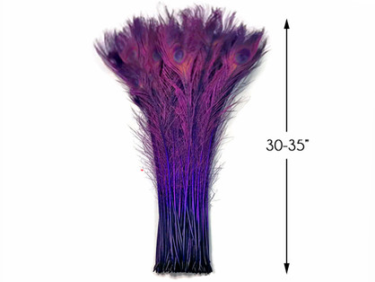 50 Pieces - 30-35" Purple Bleached & Dyed Peacock Tail Eye Wholesale Feathers (Bulk) 