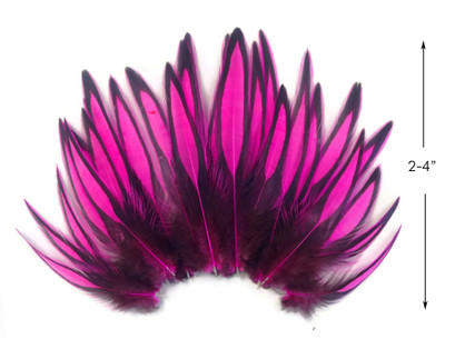 Hot Pink Laced Hen Saddle Feathers for Crafts Pink Black Craft Feathers  x12PCS