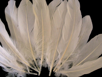1/4 Lb - Ivory Goose Satinettes Wholesale Loose Feathers (Bulk)