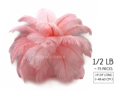 1/2 Lb. - 19-24" Light Pink Ostrich Extra Long Drab Wholesale Feathers (Bulk)
