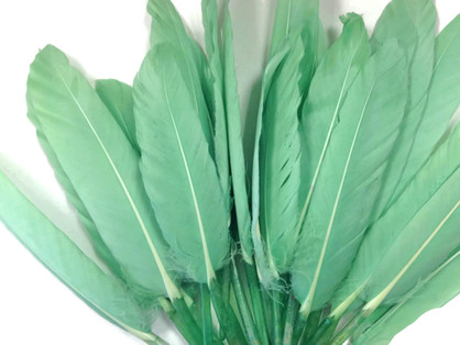 1/4 Lb. - Aqua Green Dyed Duck Cochettes Loose Wing Quill Wholesale Feather (Bulk)