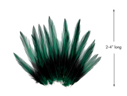 10 Pieces - Peacock Green Dyed BLW Laced Short Rooster Cape Whiting Farms Feathers
