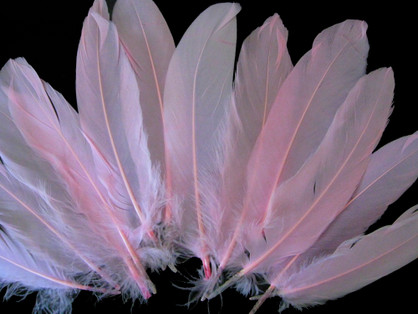 50Pcs Pink Feathers 10~12 inches,Beautiful Long Feather for  Crafts（26-31CM）,Big Size Bilateral Natural Goose Feather,for Wedding Dress  and Party