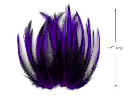 23,172 Black Purple Feathers Royalty-Free Images, Stock Photos & Pictures