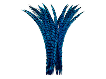 5 Pieces - 30-35" Turquoise Blue Zebra Lady Amherst Pheasant Tail Super Long Feathers