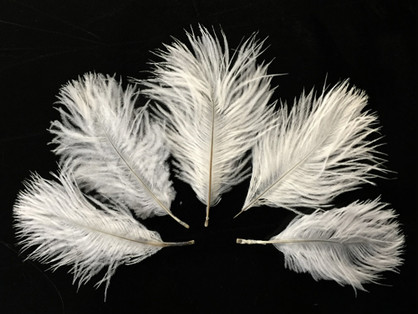 Wholesale Pack - Off White Ostrich Small Confetti Feathers (Bulk)