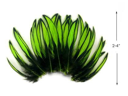 1 Dozen - Lime Green Whiting Farms BLW Laced Hen Cape Loose Feathers