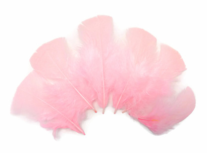 F13-Hot Pink Feather Pad  Pink feathers, Hot pink, Pink